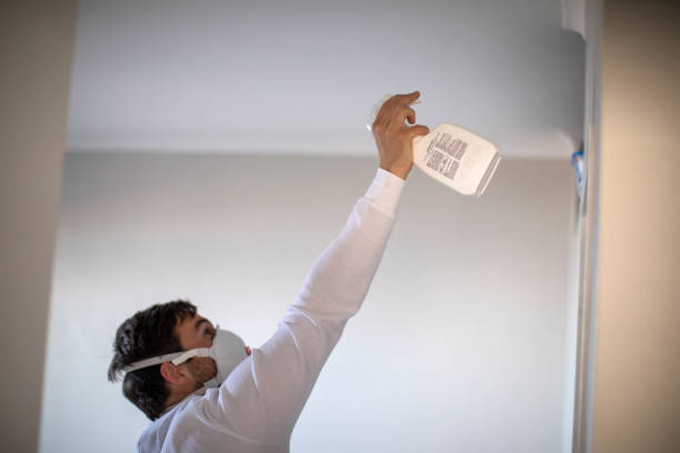 Best Preventive Mold Services in Bargersville, IN